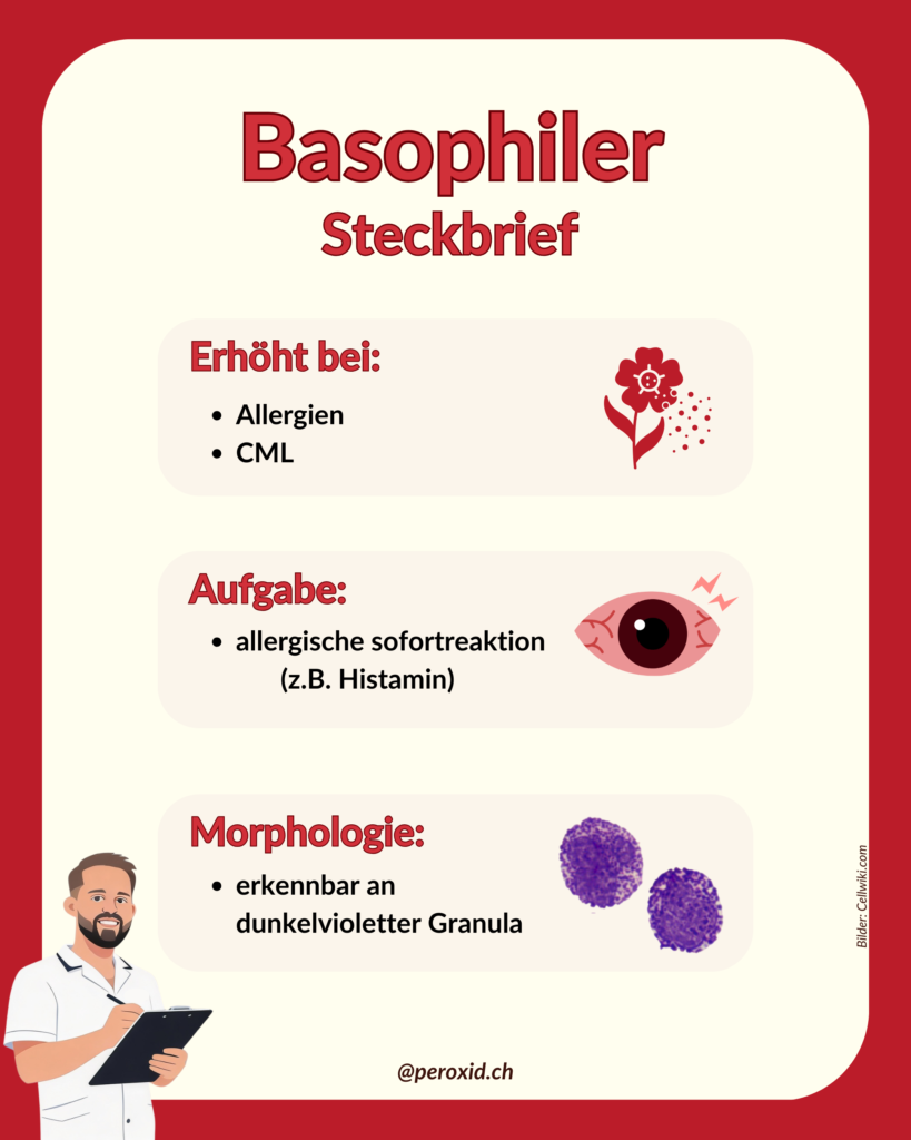 basophiler steckbrief