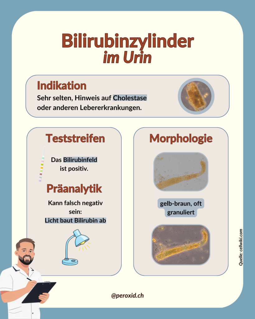 bilirubinzylinder im urin
