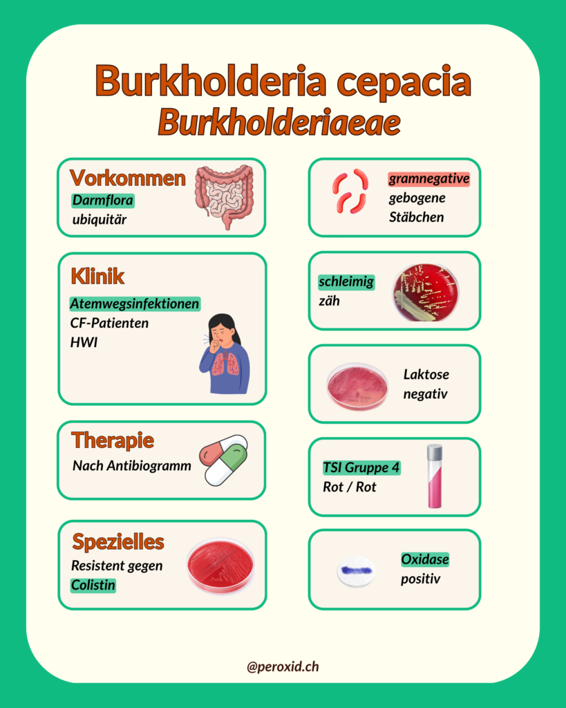 burkholderia cepacia