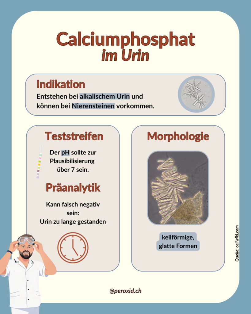 calciumphosphat im urin
