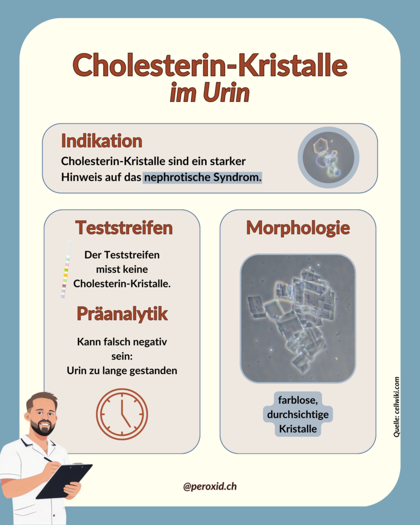 cholesterin kristalle im urin
