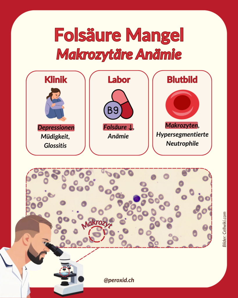 folsäure mangel