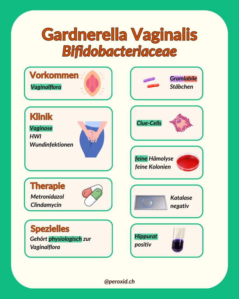 Gardnerella Vaginalis 1 819x1024