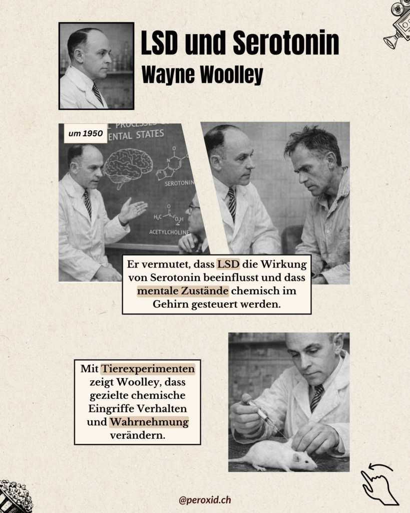 lsd und serotonin teil 2