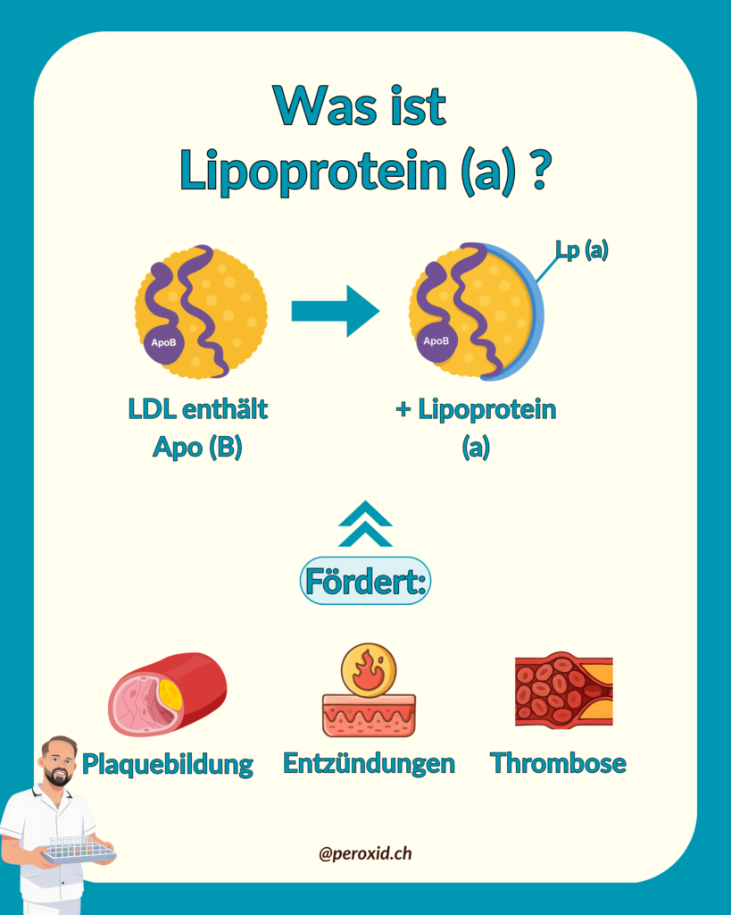 lipoprotein a