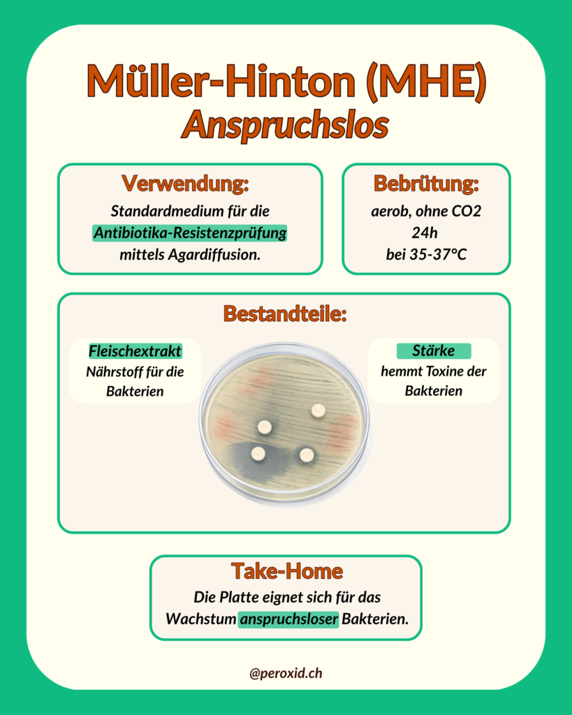 Mueller Hinton Agar MHE 819x1024