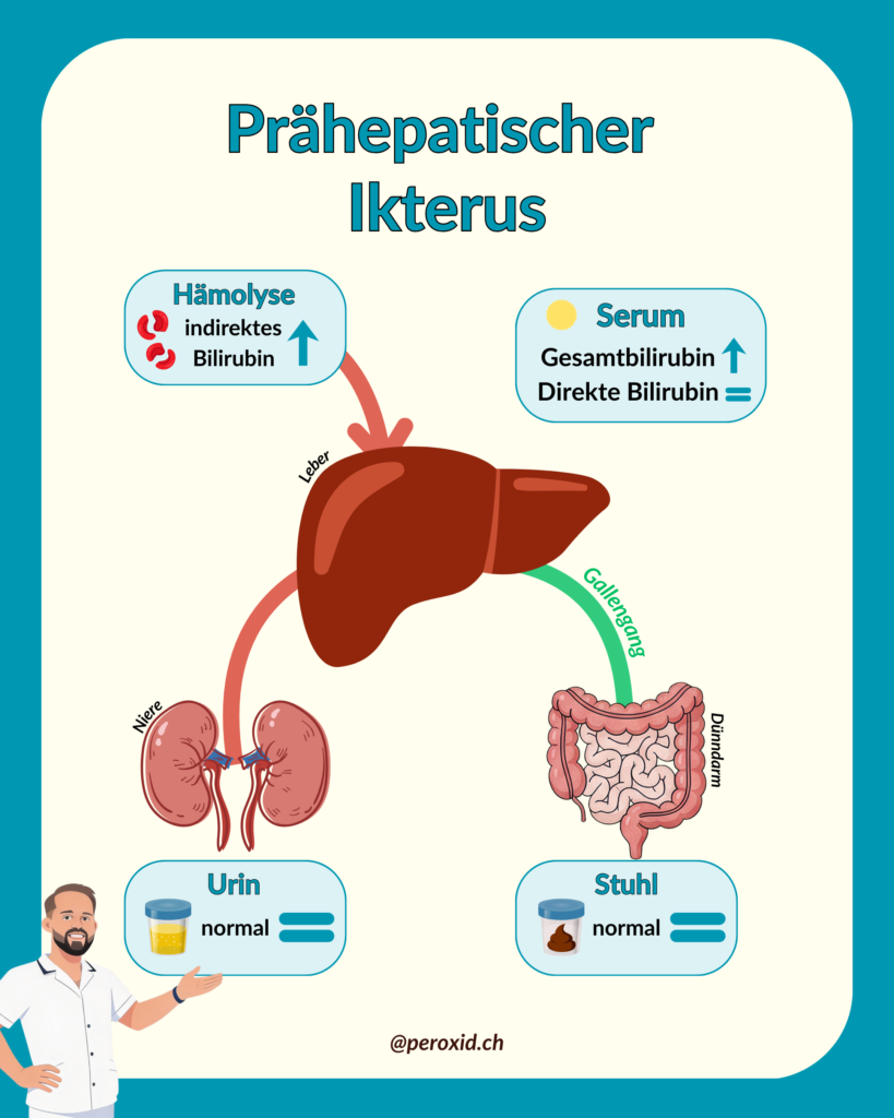 prähepatischer ikterus