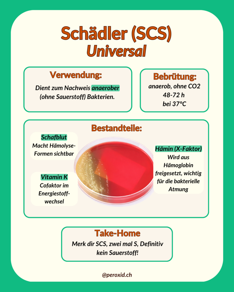 schädler scs