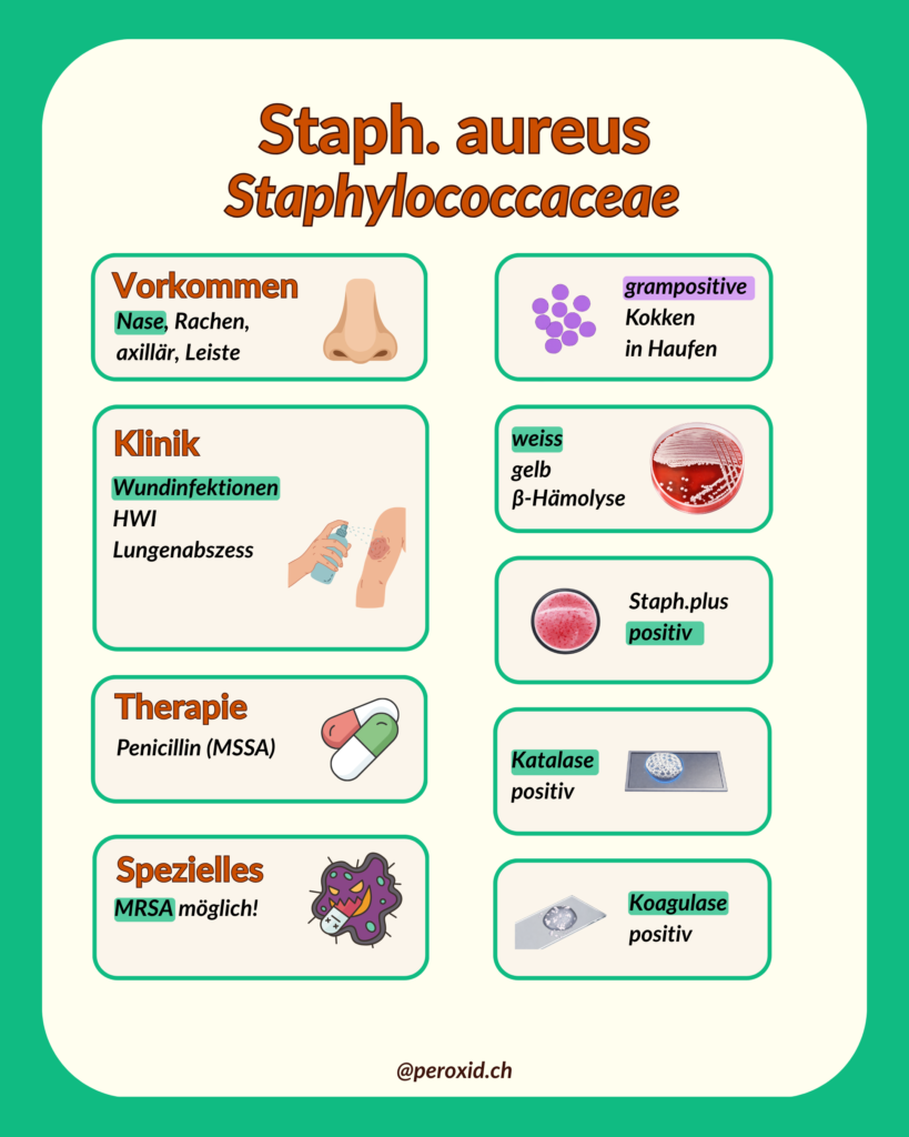 staph. aureus