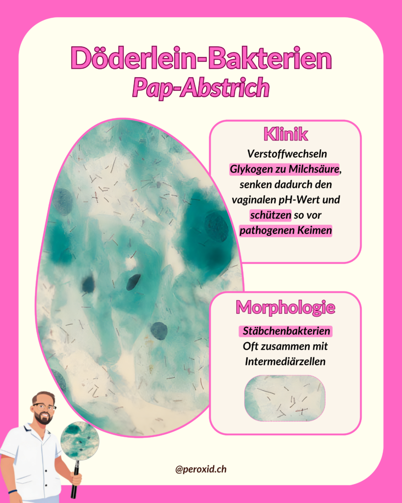 döderlein bakterien