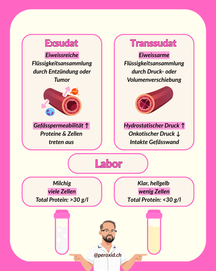 exsudat vs transsudat