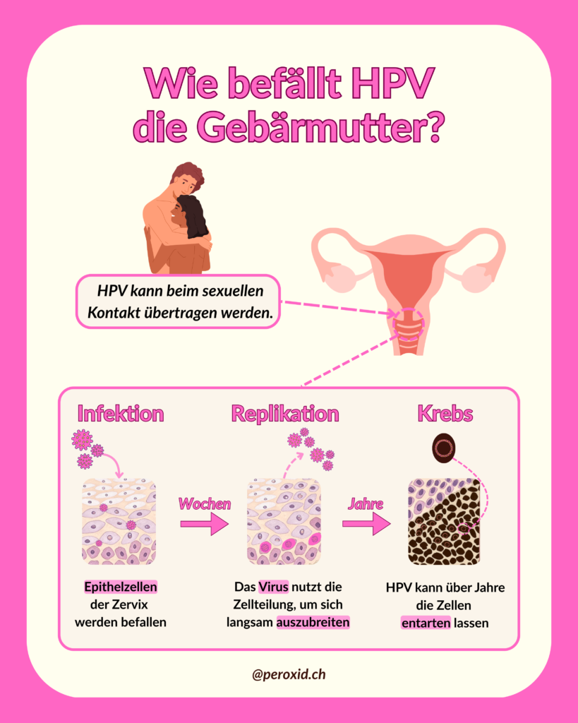 hpv und gebärmutter