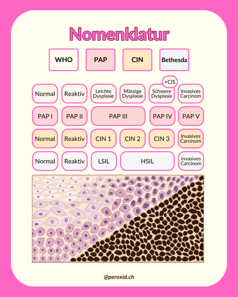 Nomenklatur Anderst 819x1024