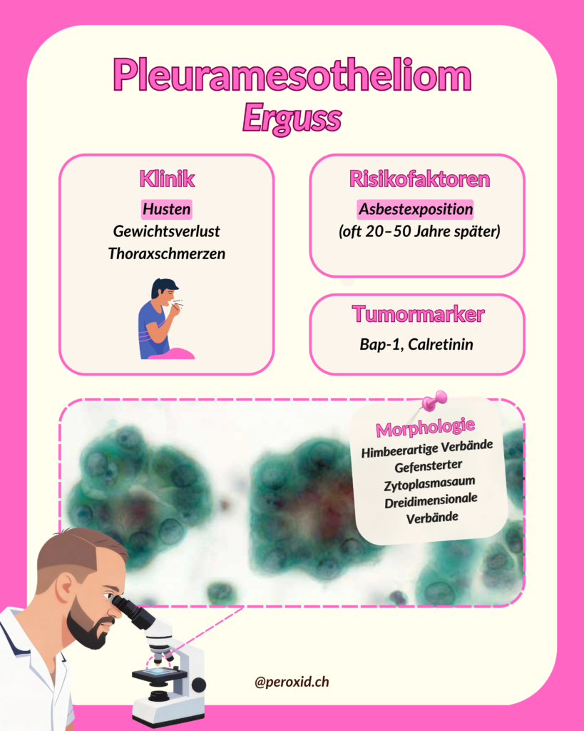 Pleuramesotheliom 819x1024